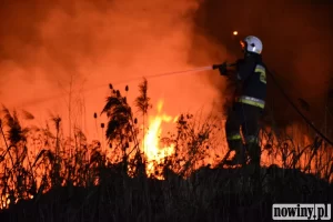 Pożar trzcin w Wodzisławiu-Zawadzie przy ul. Emilii Plater 11.03.2022